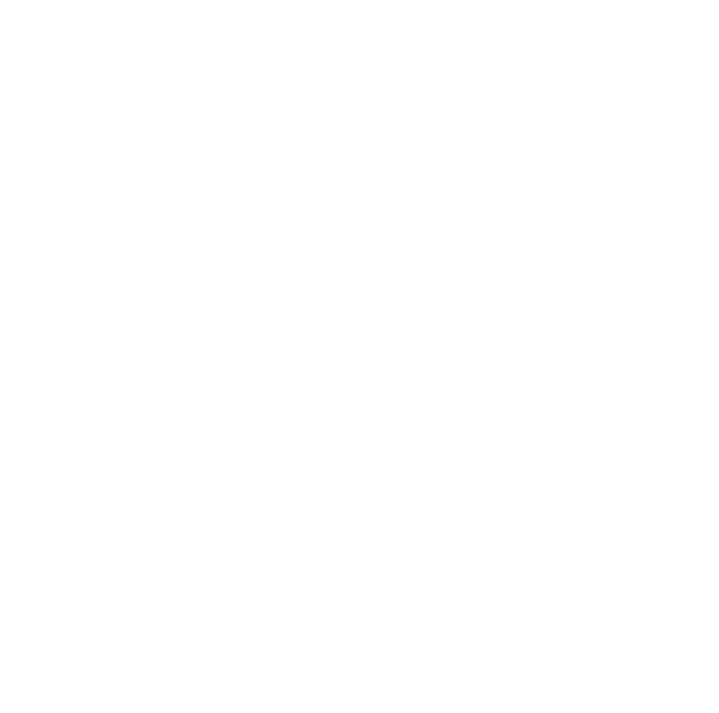 Logo BLUESOWERS